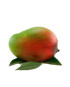 mango tommy atkins costa tropical granada málaga