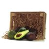 Caja de madera de 4kg de aguacate fuerte de la Costa Tropical de Granada y Málaga
