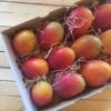 caja de mangos irwin
