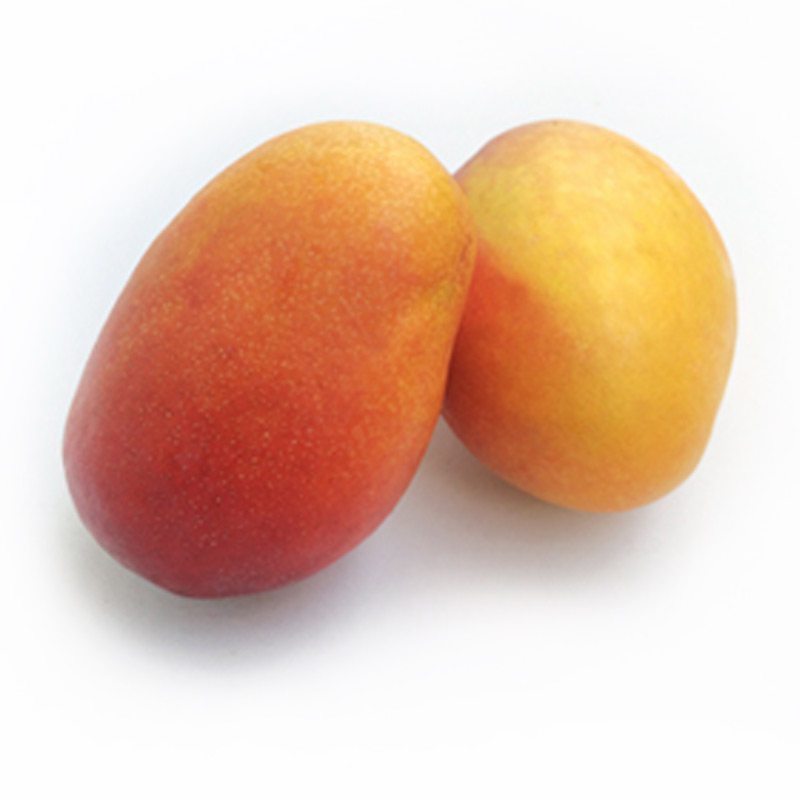 comprar-mango-irwin-maduro-de-la-costa-tropical comprar mango irwin maduro de la costa tropical