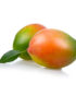 mango keitt costa tropical mango keitt de la Costa Tropical de Granada y Málaga