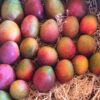 caja de mangos bombón