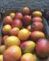 caja mango bombon o abortos de irwin