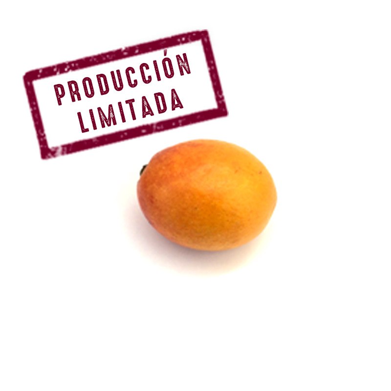 mango bombon aborto mango irwin mango bombon aborto mango irwin costa tropical