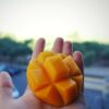 mango bombon o aborto de mango cortado