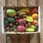 comprar surtido tropical mango pitahaya aguacate chirimoya carambola