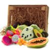 comprar surtido tropical papaya kumquat pitahaya aguacate chirimoya comprar surtido tropical papaya kumquat pitahaya aguacate chirimoya