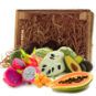 comprar surtido tropical papaya kumquat pitahaya aguacate chirimoya comprar surtido tropical papaya kumquat pitahaya aguacate chirimoya