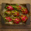 caja de fruta del dragón