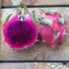 comprar pitahaya morada o fruta del dragon