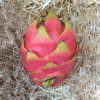 pitahaya, pitaya o fruta del dragon cultivada en españa