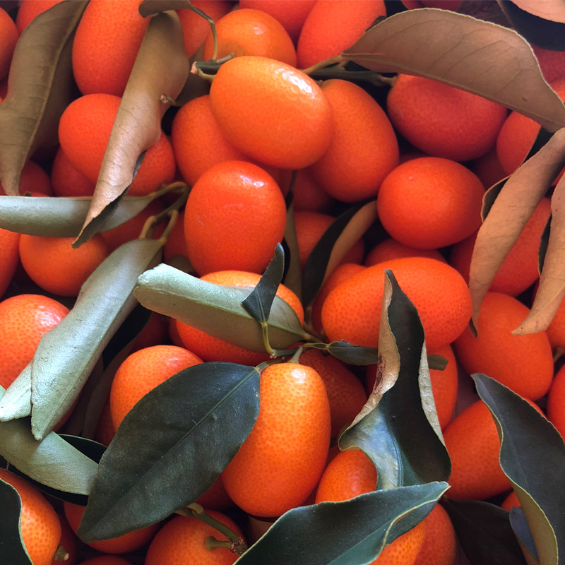 caja de kumquats o naranjas chinas