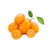 kumquat-huertatropical-dekum kumquat huertatropical dekum