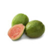 guayaba de la costa tropical guayaba de la costa tropical