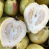 comprar guayaba online a domicilio