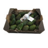 aguacates aceite de aguacate caja de aguacate y aceite virgen extra de aguacate
