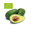 aguacate-fuerte-ecologico comprar aguacate fuerte ecológico bio costa tropical granada málaga
