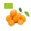 ecologico-kumquat-huertatropical-dekum comprar kumquat ecológico