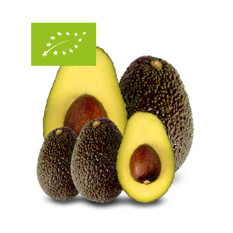 Comprar aguacate baby ecológico online Huerta Tropical
